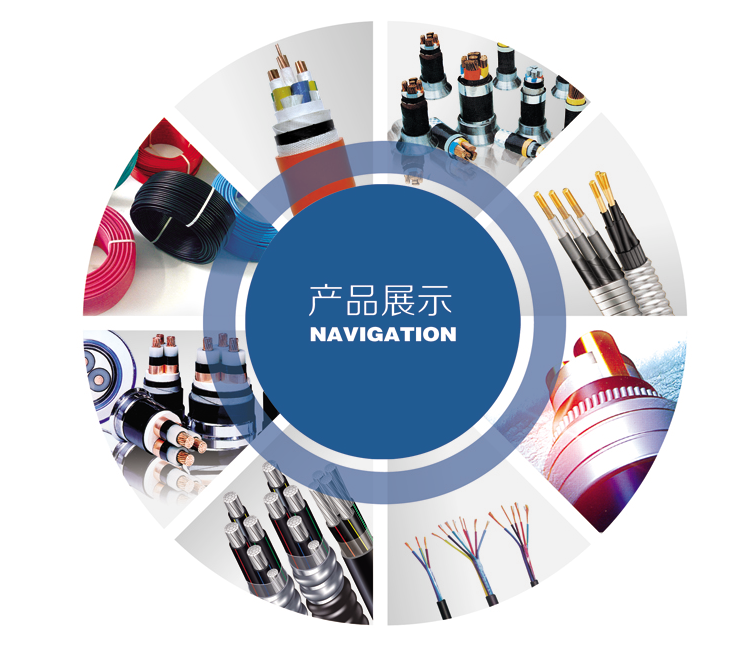 喜报！园区这些企业，上榜百强！(图10)