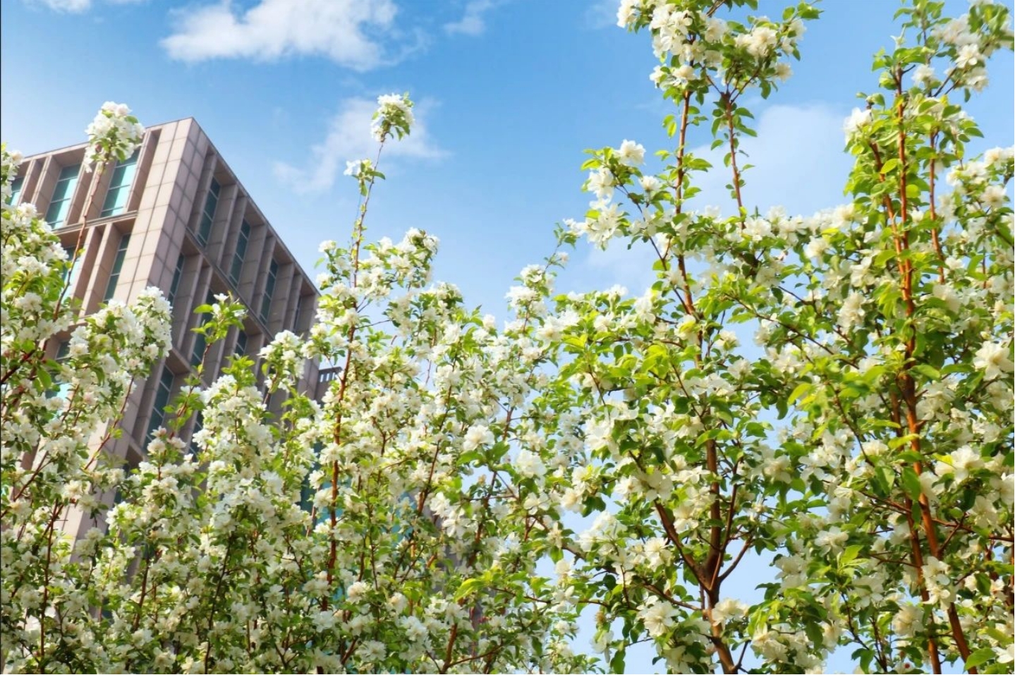 看，精品人妻少妇嫩草AV无码专区，欧美性夜黄A片爽爽免费视频，欧美成人在线视频，欧美亚韩一区二区三区，欧美成人在线视频......“春色满园”！(图12)