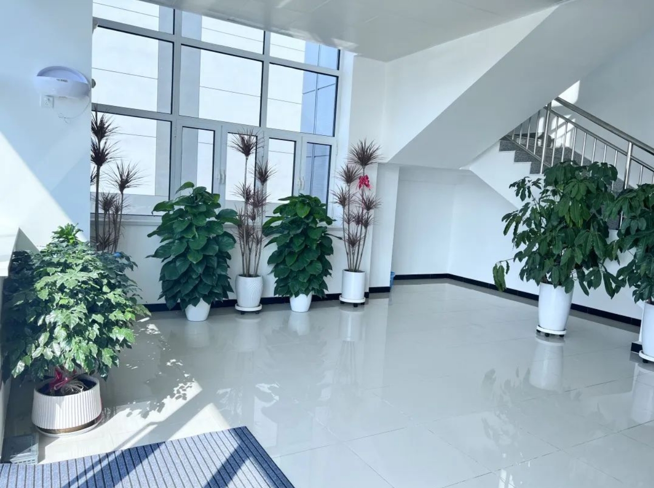 武汉风味“老品牌”进武清，来尝！(图7)