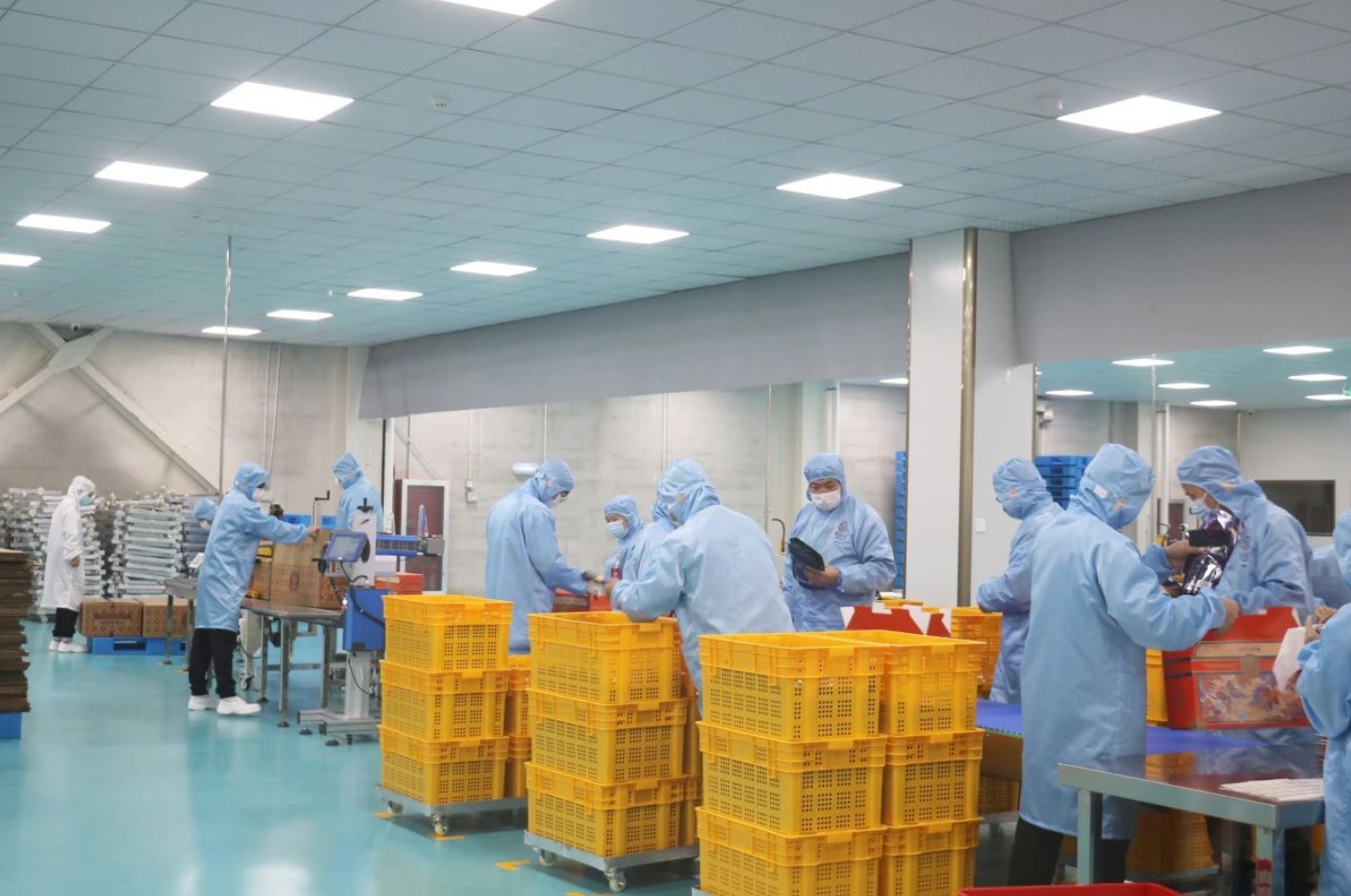 年产值1.5亿元！集味轩盛大开业！(图4)