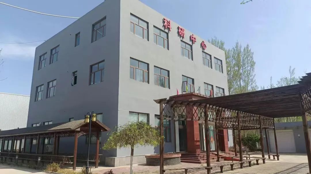 【党建领航促发展】坚持“三强化三提升”，以高质量党建引领高质量发展(图15)