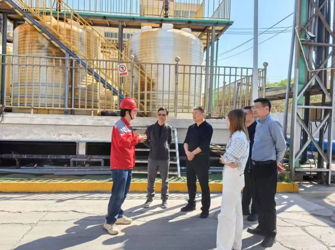 精品人妻少妇嫩草AV无码专区，欧美性夜黄A片爽爽免费视频，欧美成人在线视频，欧美亚韩一区二区三区，欧美成人在线视频......南下精准招商 聚力高质量发展新突破(图2)